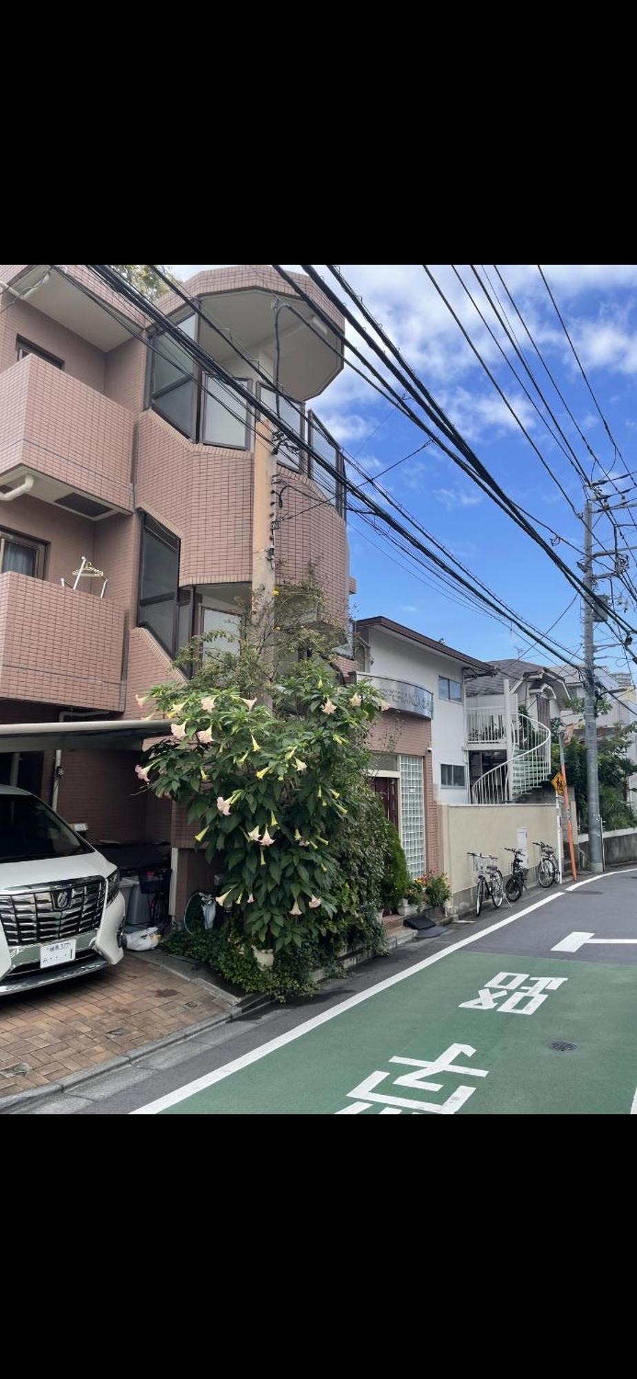 新宿安靜の家-A Quiet Home In Shinjuku - A 26 Square Meter Double Bed Room That Feels Like Home Tōkyō Extérieur photo