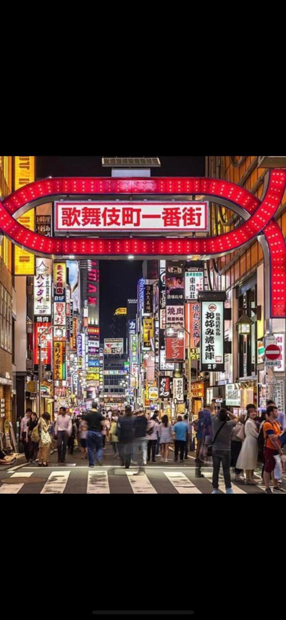 新宿安靜の家-A Quiet Home In Shinjuku - A 26 Square Meter Double Bed Room That Feels Like Home Tōkyō Extérieur photo